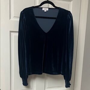 Evereve Blue Velvet Blouse